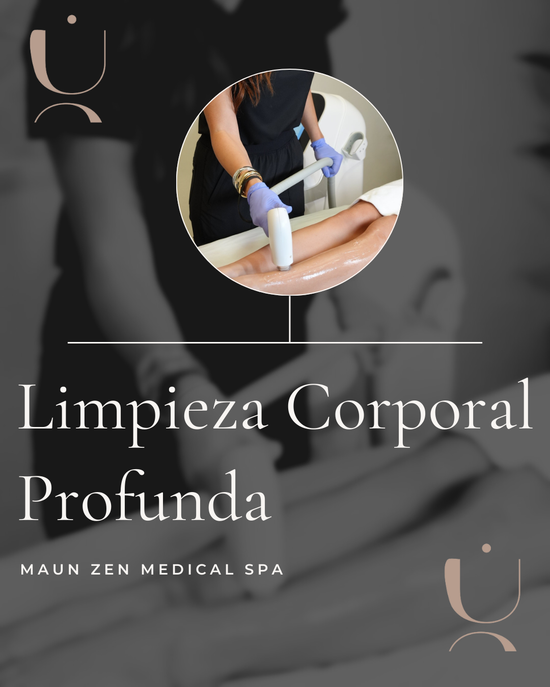 Limpieza Corporal Profunda