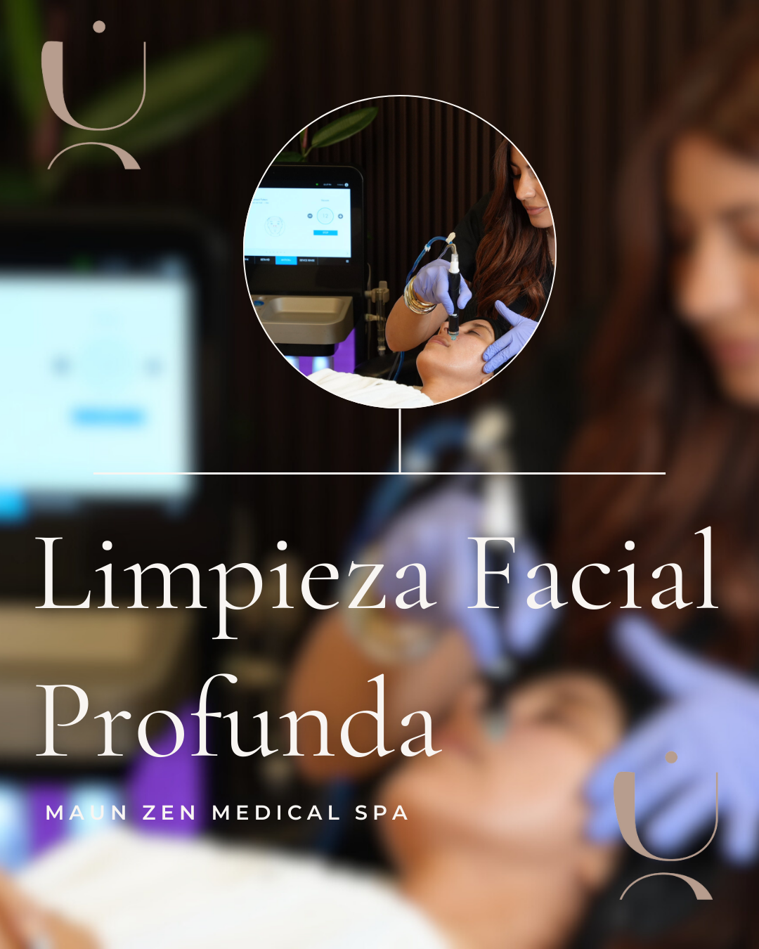 Limpieza Facial Profunda